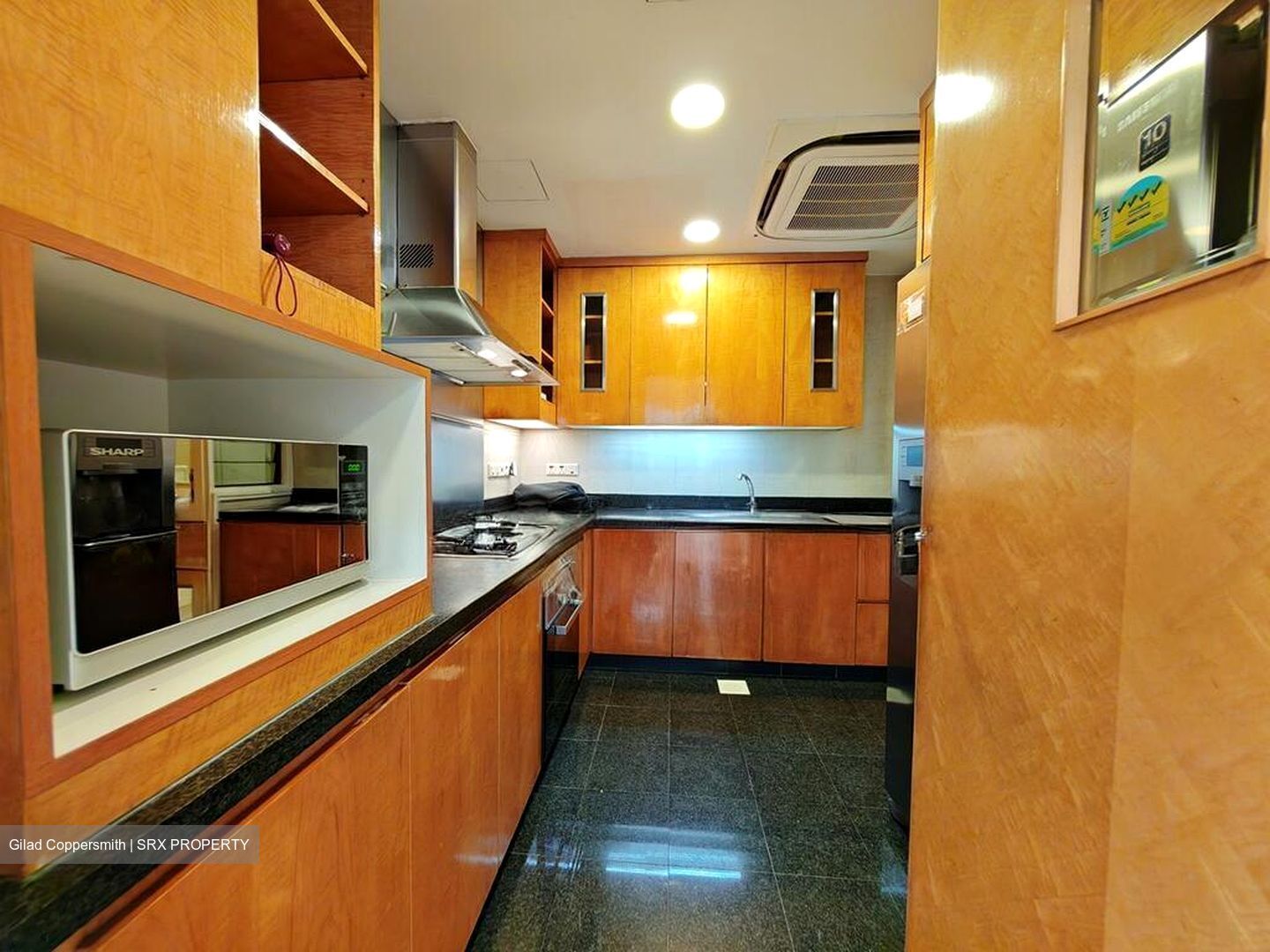 Grange 70 (D10), Apartment #497079981